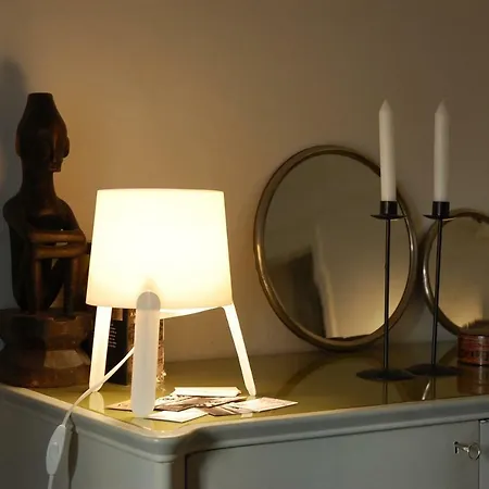 Virginias * 萨沃纳